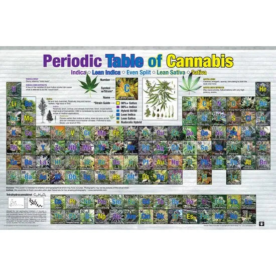Periodic table of Cannabis Poster ポスター #26