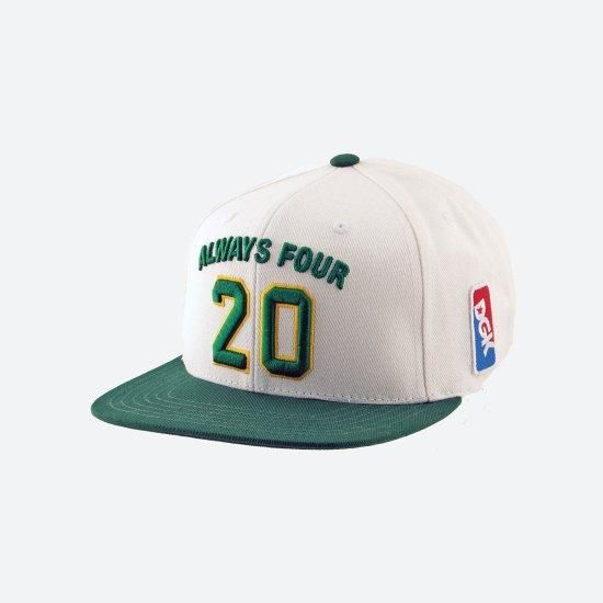 DGK ディージーケー Team Indica Snapback Cap キャップ ホワイト/グリーン