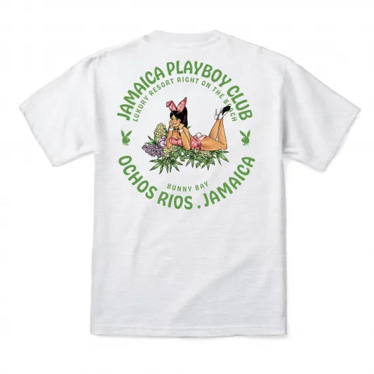 COLOR BARS カラーバーズx PLAY BOYプレイボーイ Flower Girl Tee Tシャツ アッシュグレー
