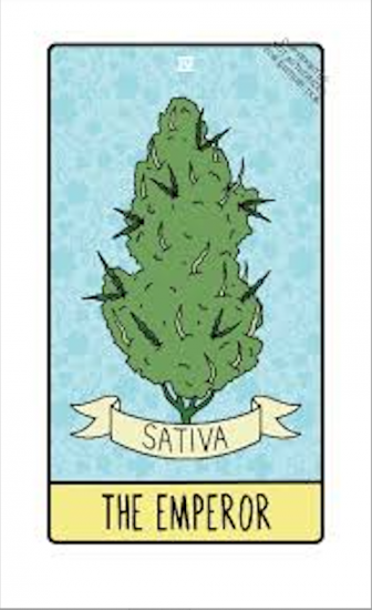 POT TAROT タロット