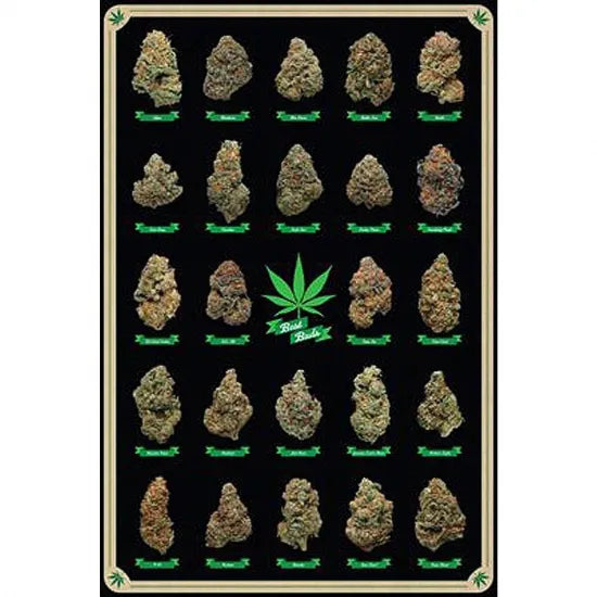Best Buds POSTER ポスター #41