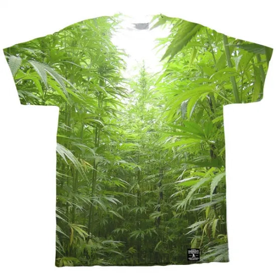 DISS IZ IT! ディスイズイット "FieldOfDreams"