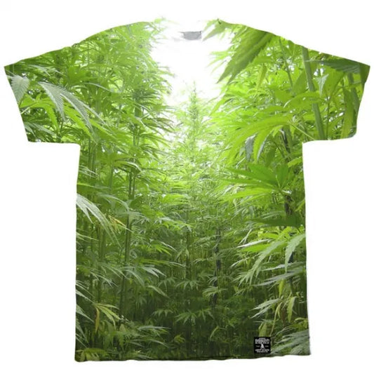DISS IZ IT! ディスイズイット "FieldOfDreams"
