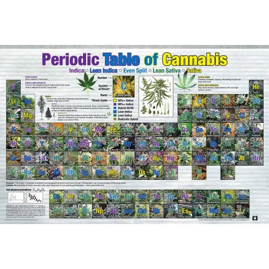Periodic table of Cannabis Poster ポスター #26