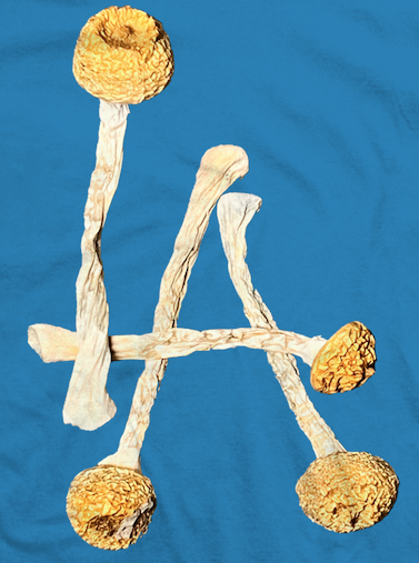 Porous Walker ポーラスウォーカー LA Tee (DODGER BLUE)Tシャツ