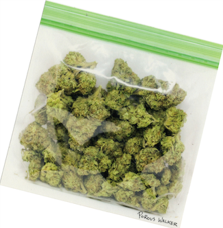 Porous Walker ポーラスウォーカー BAG OF BUDS POCKET TEE Tシャツ