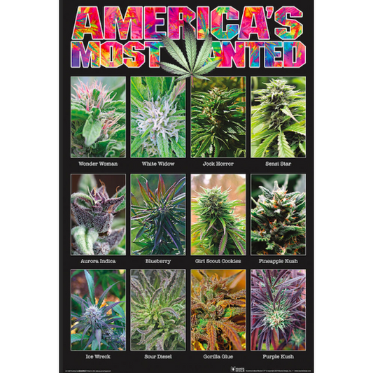 America’s Most Wanted poster ポスター #21