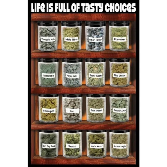 Life is Full of Tasty Choices Poster ポスター #20
