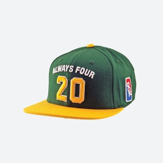 DGK ディージーケー Team Indica Snapback Cap キャップ ホワイト/グリーン