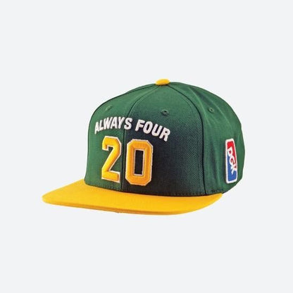 DGK ディージーケー Team Indica Snapback Cap キャップ ホワイト/グリーン