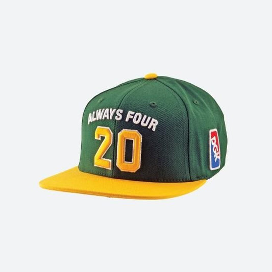 DGK ディージーケー Team Indica Snapback Cap キャップ ホワイト/グリーン