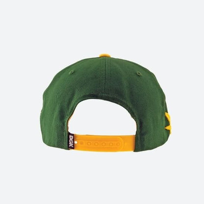 DGK ディージーケー Team Indica Snapback Cap キャップ ホワイト/グリーン