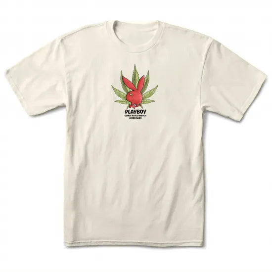 COLOR BARS カラーバーズ x PLAY BOY プレイボーイJamaica Spade Tee Tシャツ クリーム
