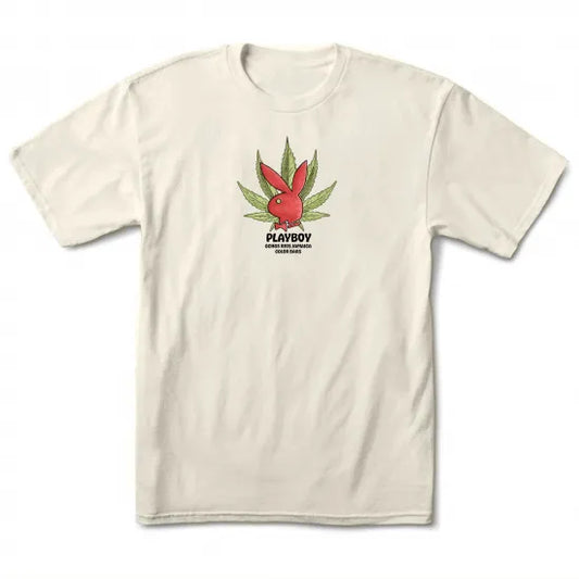 COLOR BARS　カラーバーズ x PLAY BOY プレイボーイJamaica Spade Tee Tシャツ クリーム