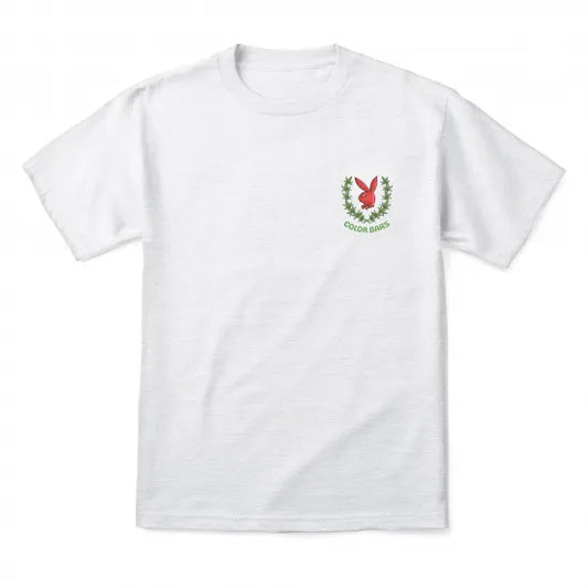 COLOR BARS カラーバーズx PLAY BOYプレイボーイ Flower Girl Tee Tシャツ アッシュグレー