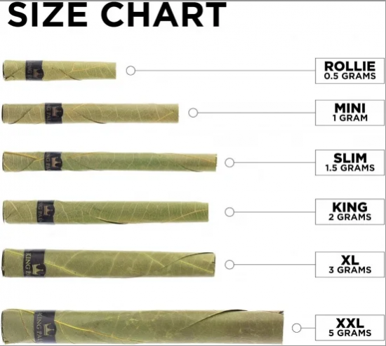 KING PALM キングパーム "MINI" Cones 1本入 ブラント