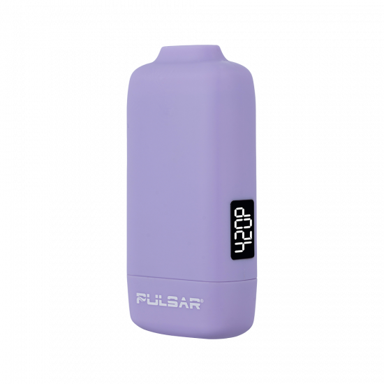 PULSAR パルサー DL Vanish Personal Air Filter エアフィルター