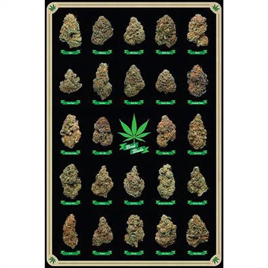 Best Buds POSTER ポスター #41