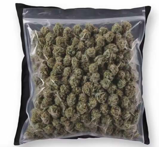 ZIP PACK Cushionクッション