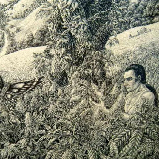 Tom Masse トムマッセ "Field of Dreams" Poster　ポスター　#1