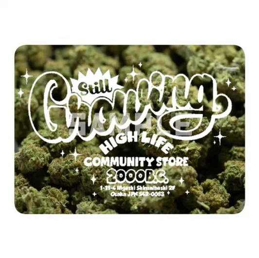 HOTBOX SESSIONS ホットボックスセッションズ "Still Growing" ステッカー sticker
