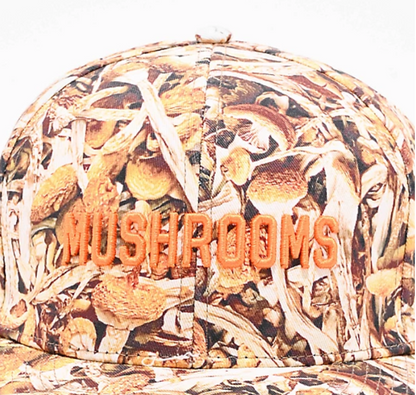 Porous Walker ポーラスウォーカー Real Mushrooms Brown Snapback Cap キャップ