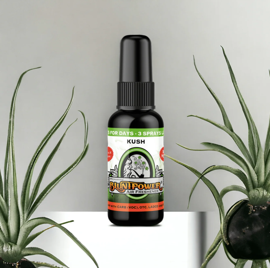 BLUNT POWER ブラントパワー AIR FRESHENER SPRAY エアフレッシュナースプレー
