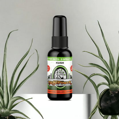 BLUNT POWER ブラントパワー AIR FRESHENER SPRAY エアフレッシュナースプレー