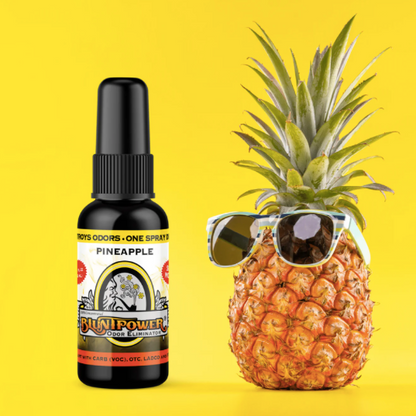 BLUNT POWER ブラントパワー AIR FRESHENER SPRAY エアフレッシュナースプレー