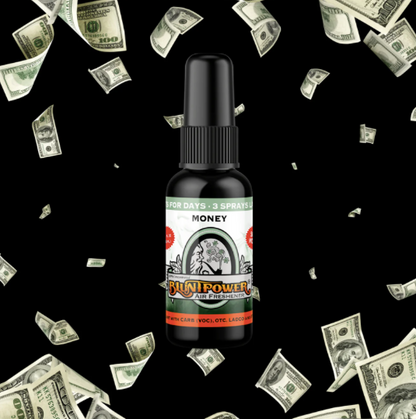 BLUNT POWER ブラントパワー AIR FRESHENER SPRAY エアフレッシュナースプレー
