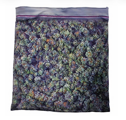 Steelplant Hardcore Decor スティールプラント・ハードコア・デコール ZIP PACK Cushion クッション