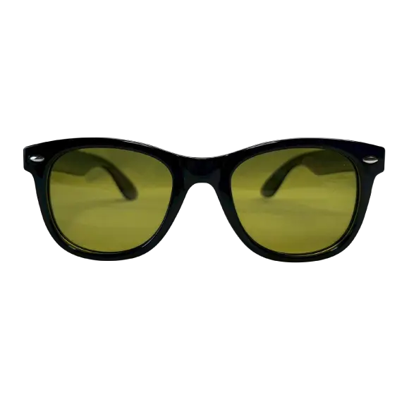 seedleSs シードレス royal shape sunglasses 調光・偏光 サングラス #sg11