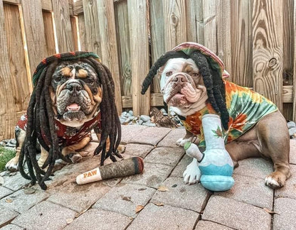 Doggy Doobie ドギー・ドゥービー Dog Toy ドッグトイ