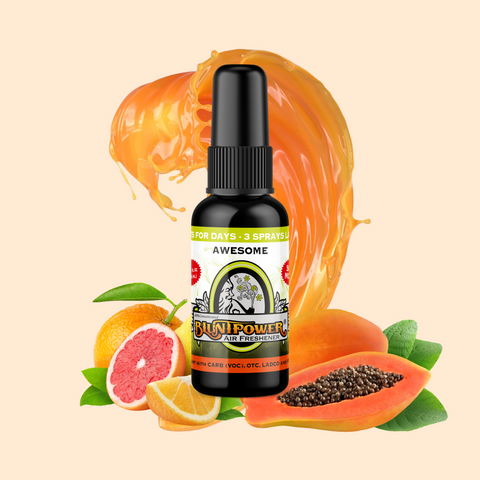 BLUNT POWER ブラントパワー AIR FRESHENER SPRAY エアフレッシュナースプレー