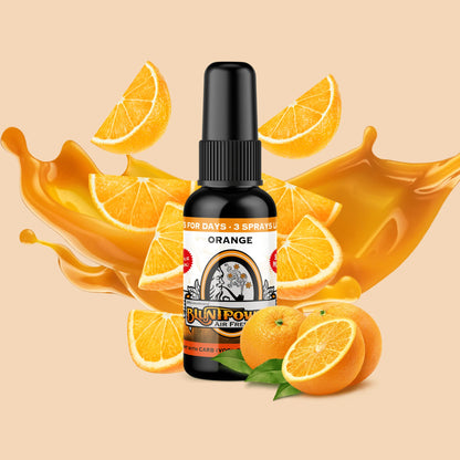 BLUNT POWER ブラントパワー AIR FRESHENER SPRAY エアフレッシュナースプレー