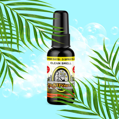 BLUNT POWER ブラントパワー AIR FRESHENER SPRAY エアフレッシュナースプレー