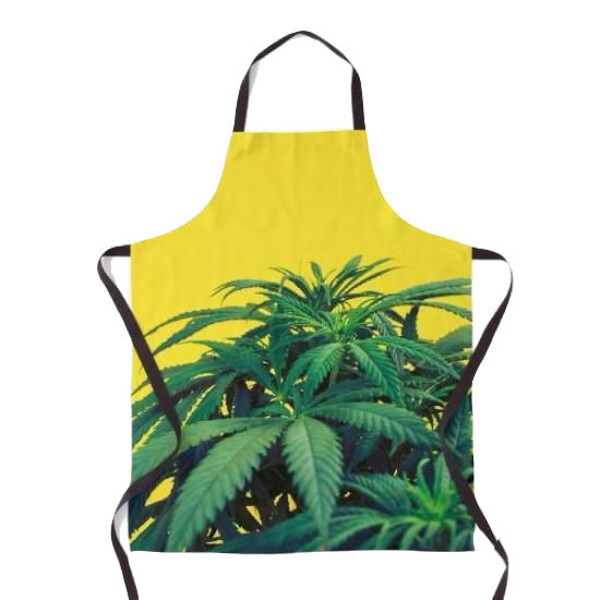 Apron エプロン　420 YELLOW #14