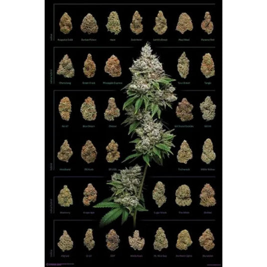 Dank Nugs poster ポスター #47