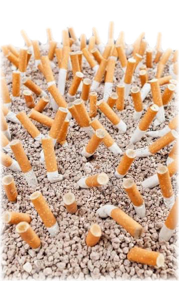 Fujima フジマ Smoke Re-Freshener Granules 臭い消し