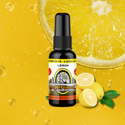 BLUNT POWER ブラントパワー AIR FRESHENER SPRAY エアフレッシュナースプレー
