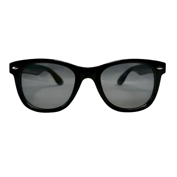 seedleSs シードレス royal shape sunglasses 調光・偏光 サングラス #sg11